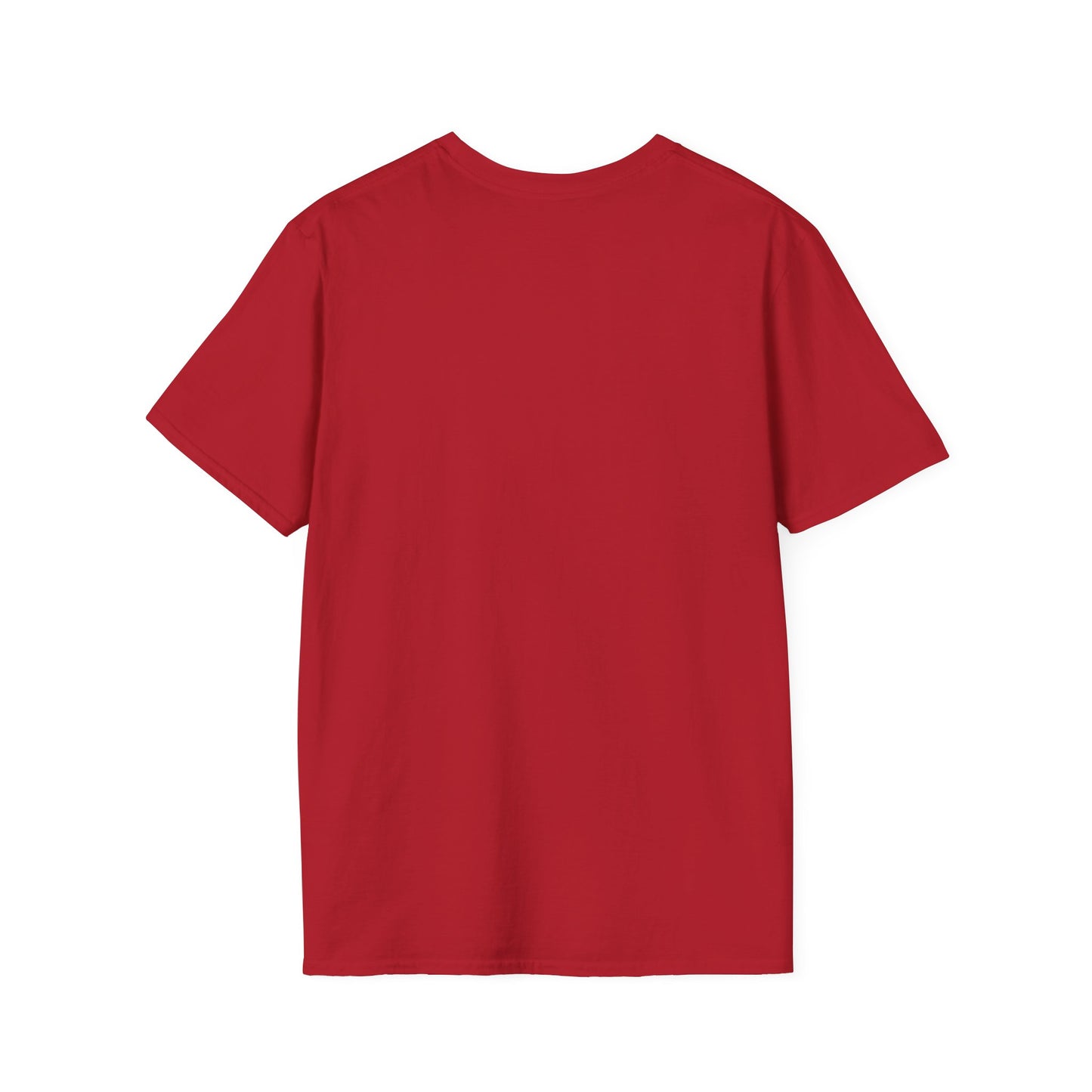 Unisex Festival Vibes Tee - Softyle